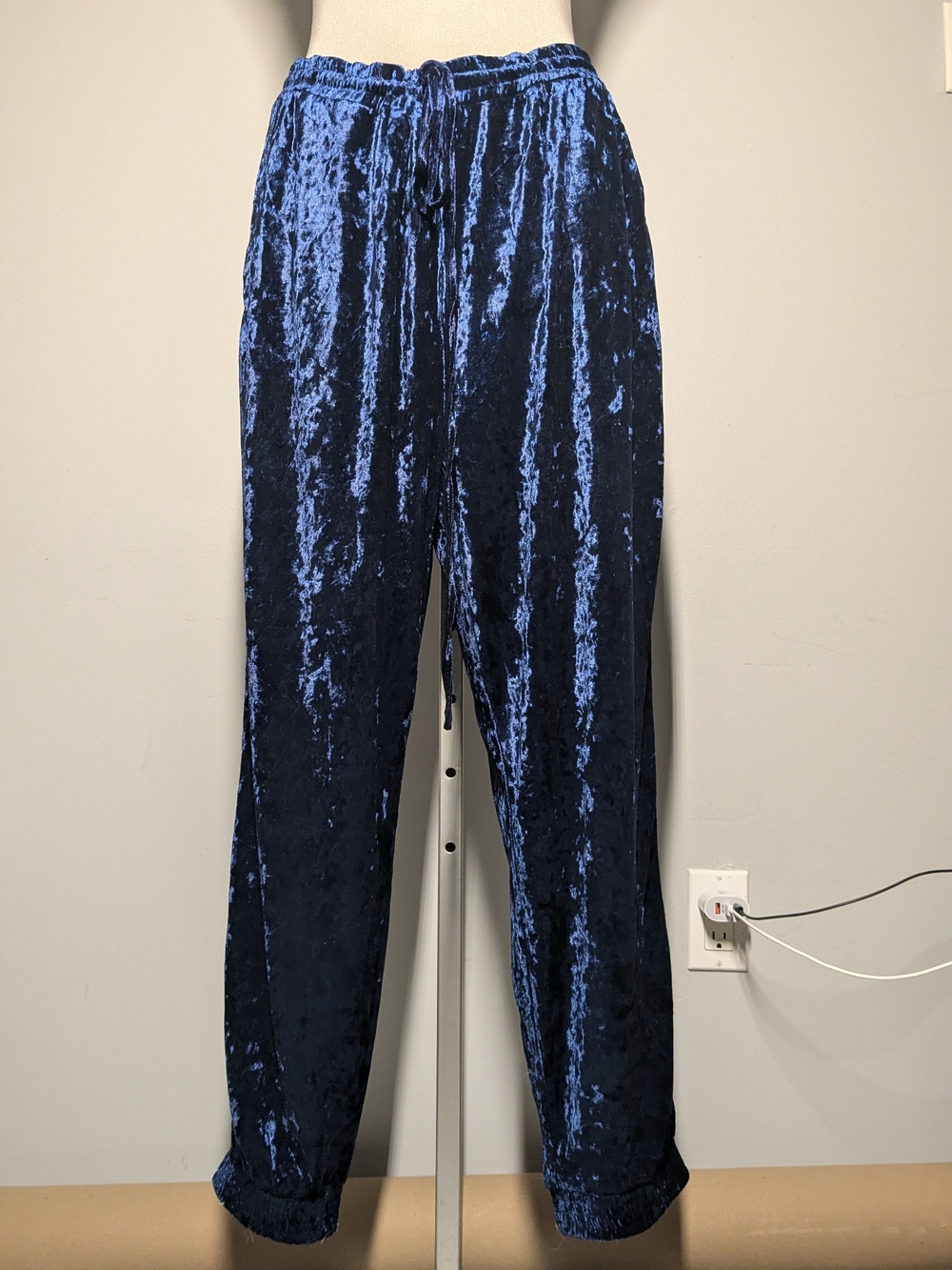 C by One Shimmery Navy Crushed Velvet Pull-On Pants - Picture 5 of 16